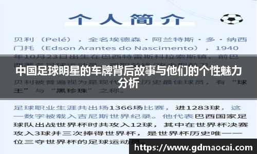 中国足球明星的车牌背后故事与他们的个性魅力分析