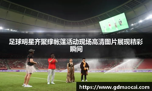 完美体育365官方网站